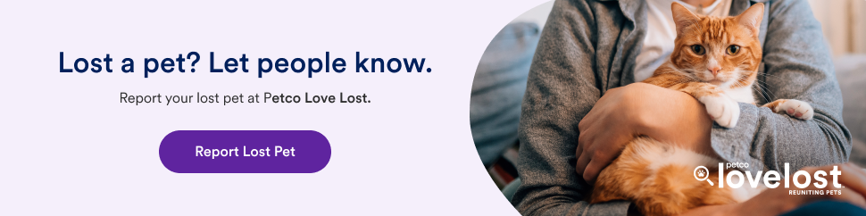Petco Love Lost Pet Registry