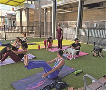 A group of Baylor students participating in Puppy Yoga.
