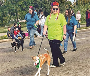 Pet Circle staff in the Dia de los Muertos parade with dogs in costume.
