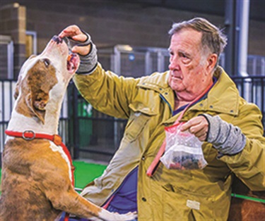 Ed, a volunteer, giving a treat to a shelter dog.